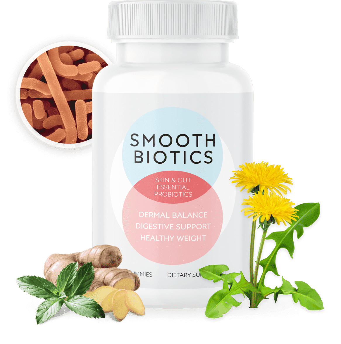 Smooth Biotics